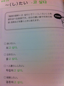 写真 13.JPG